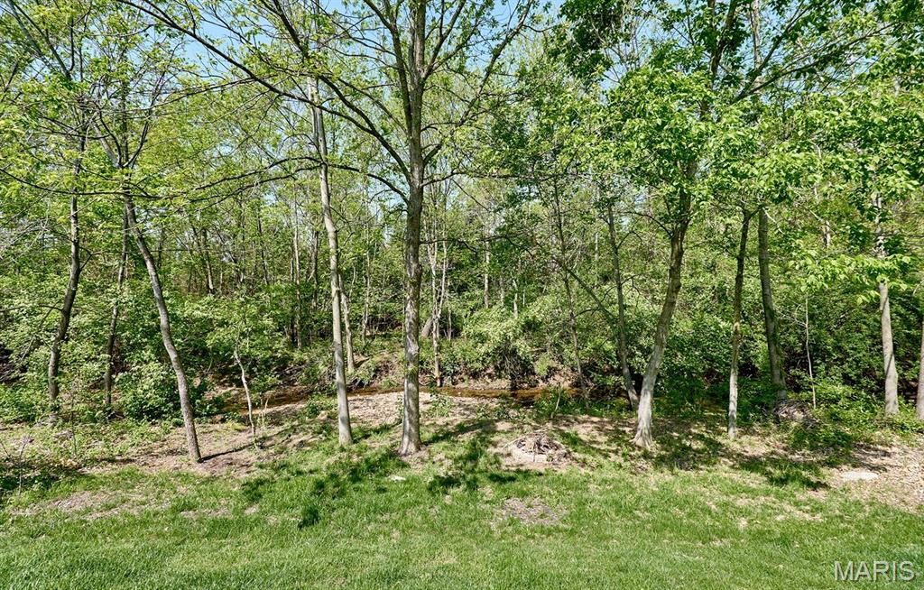 729 Phoenix Drive O'Fallon, MO 63368 - Photo 77 of 88