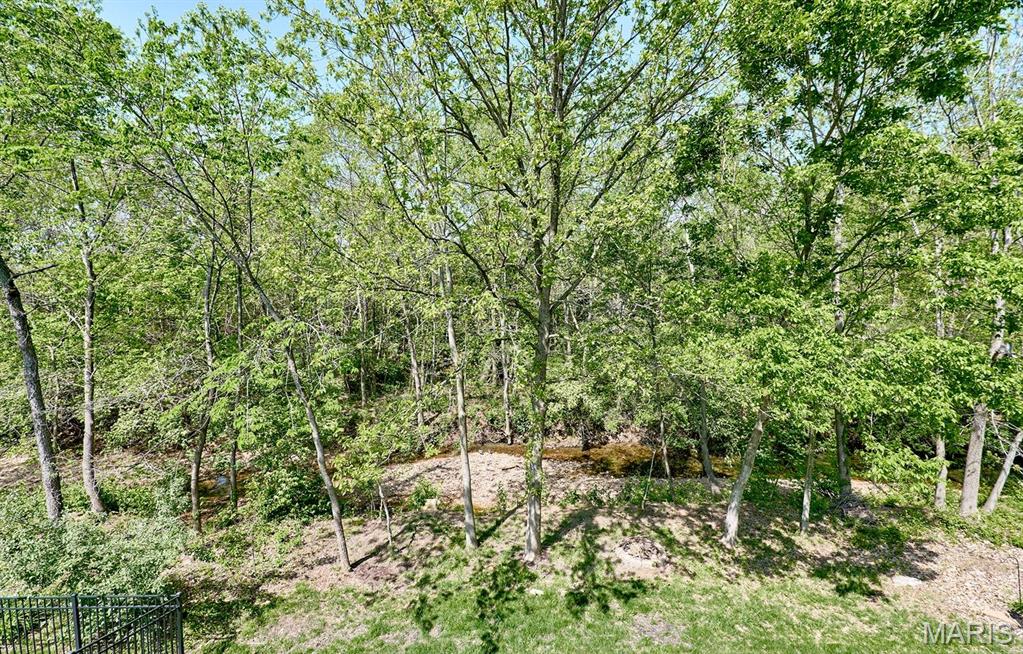 729 Phoenix Drive O'Fallon, MO 63368 - Photo 88 of 88