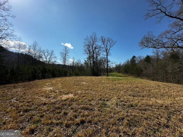 a view of a backyard of a house
