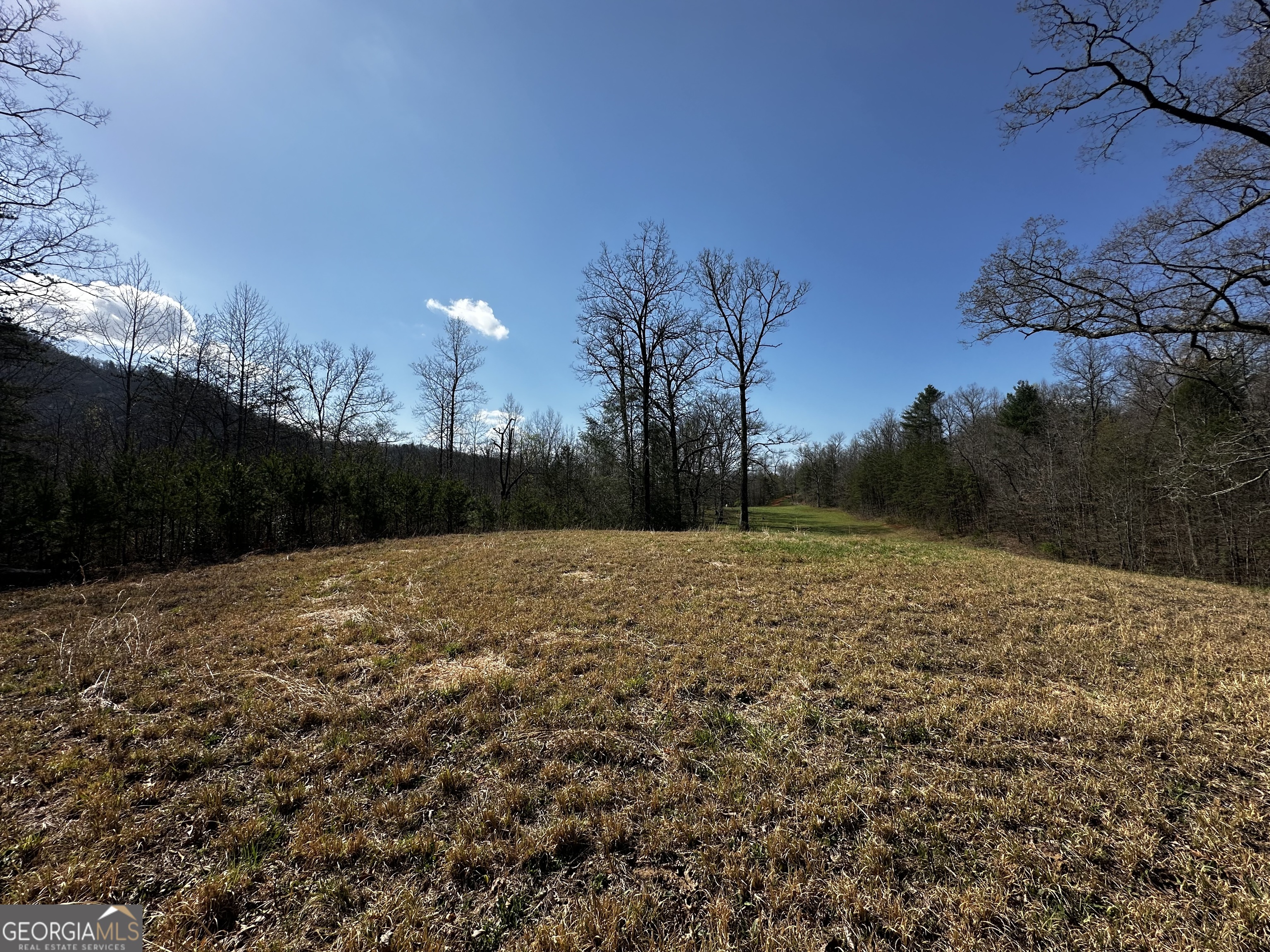 0 Georgia Road Otto, NC 28763 - Photo 11 of 29