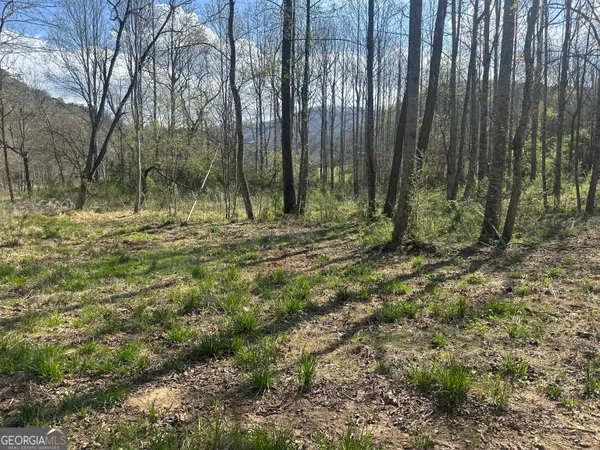 a view of outdoor space with trees