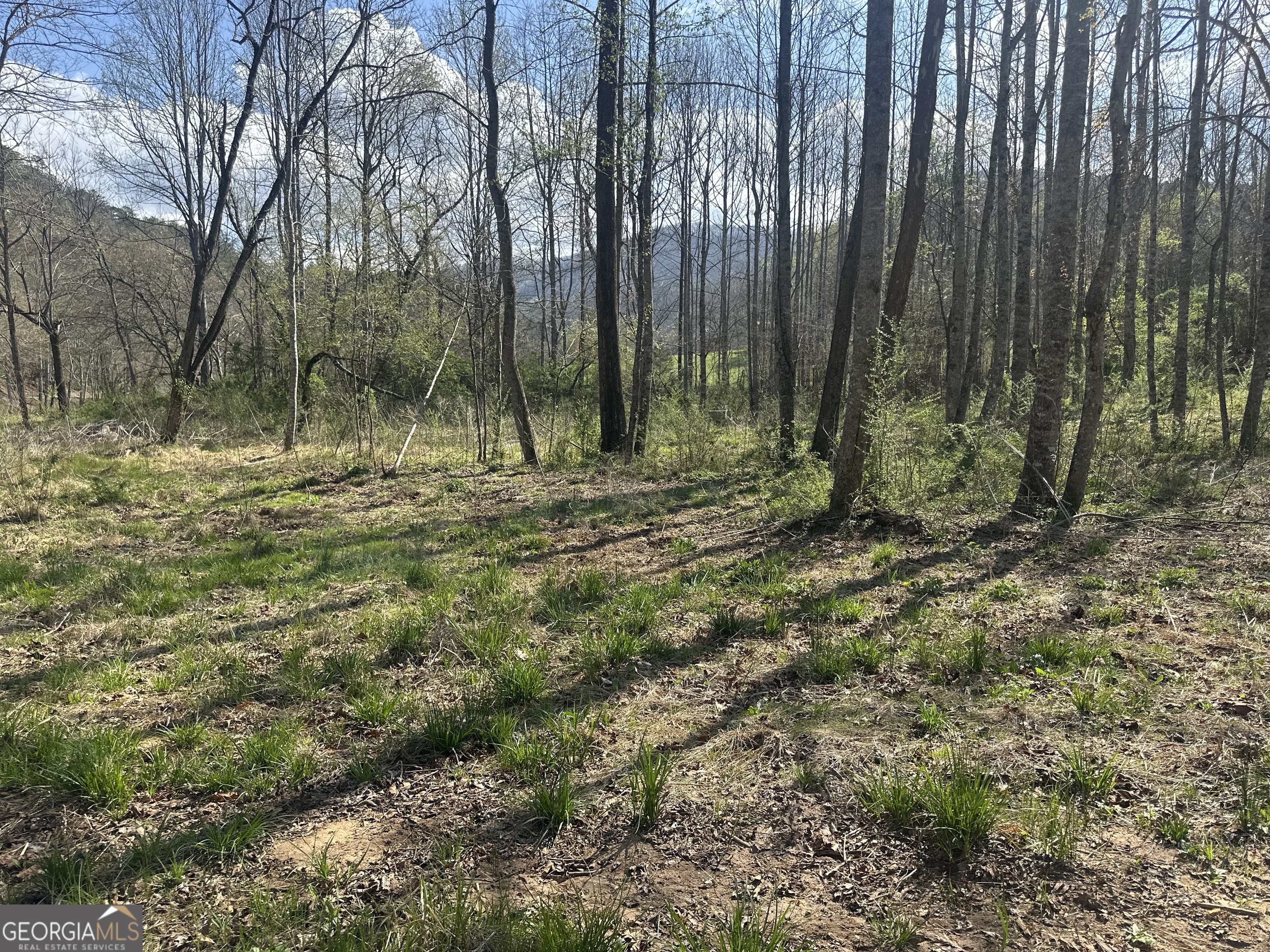 0 Georgia Road Otto, NC 28763 - Photo 16 of 29