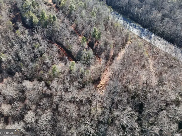 a view of a dry yard with green space