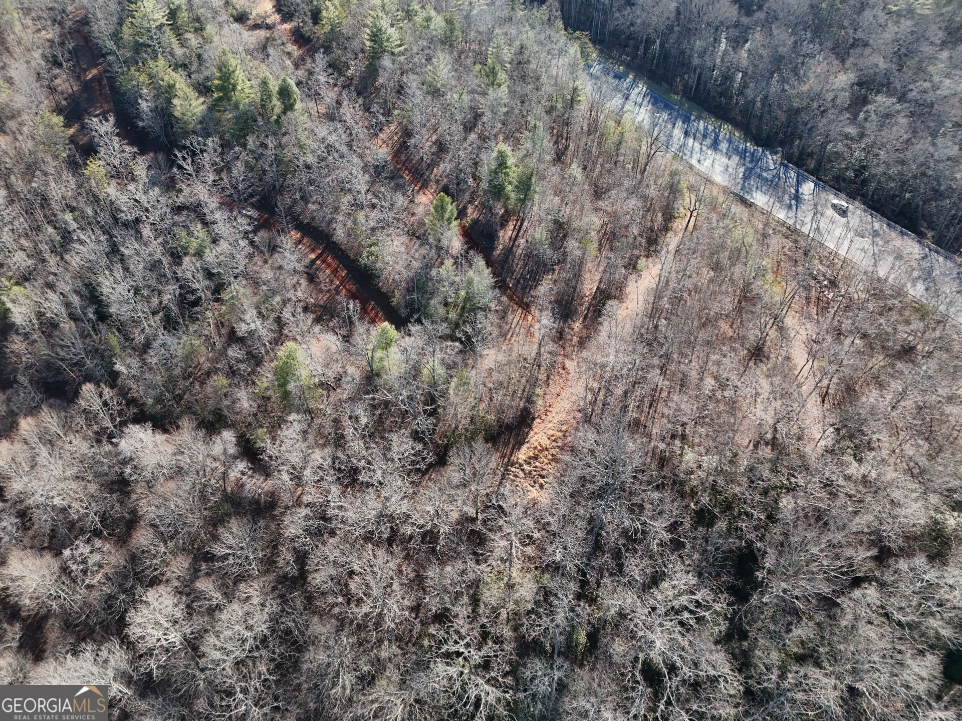 0 Georgia Road Otto, NC 28763 - Photo 2 of 13 a view of a dry yard with green space