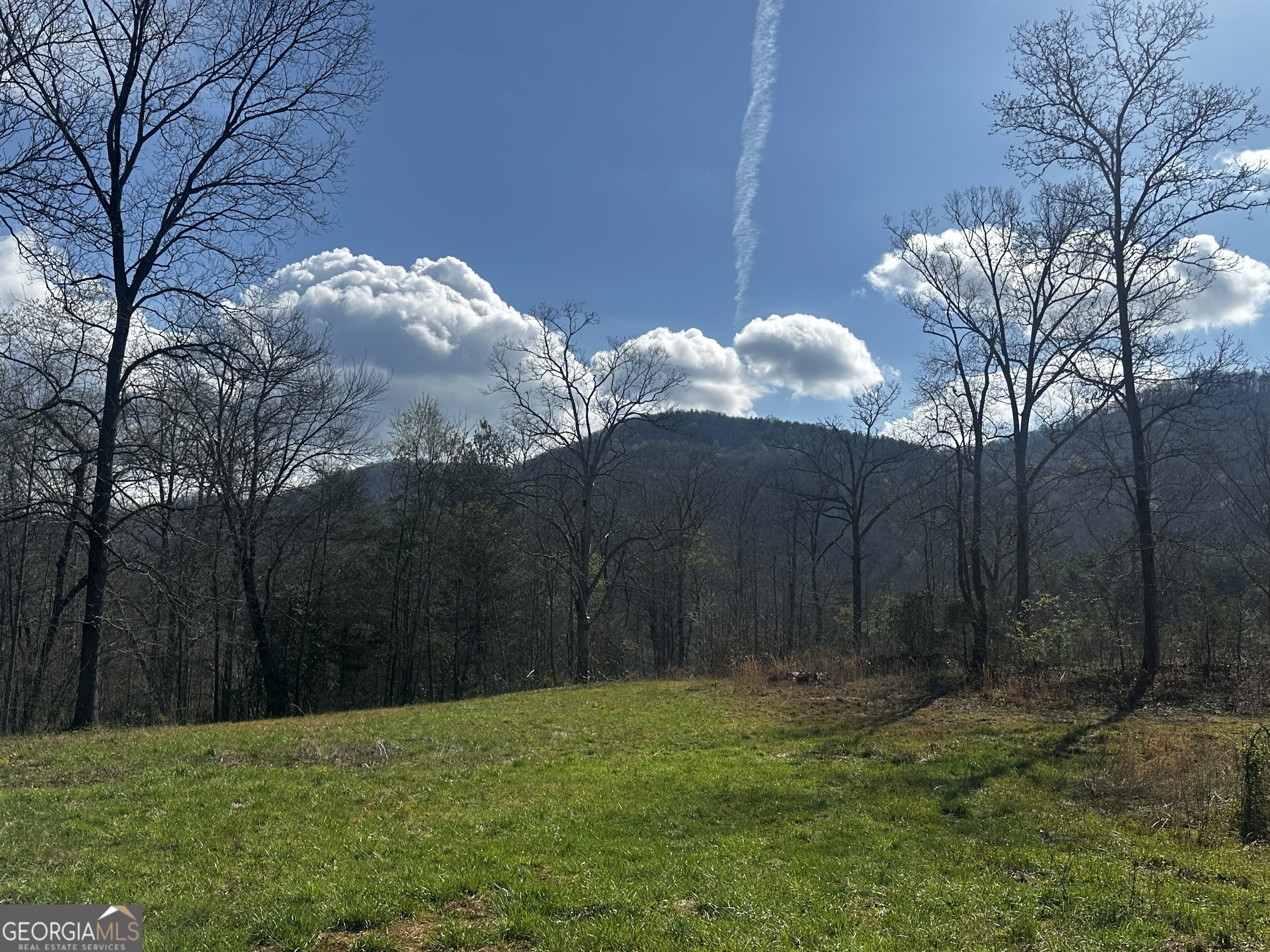 0 Georgia Road Otto, NC 28763 - Photo 2 of 29