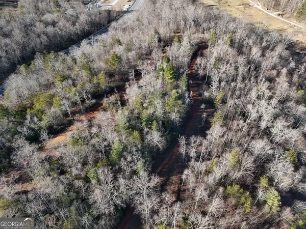 a view of a forest with a forest