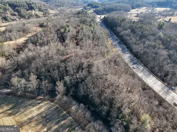 a view of a yard with trees