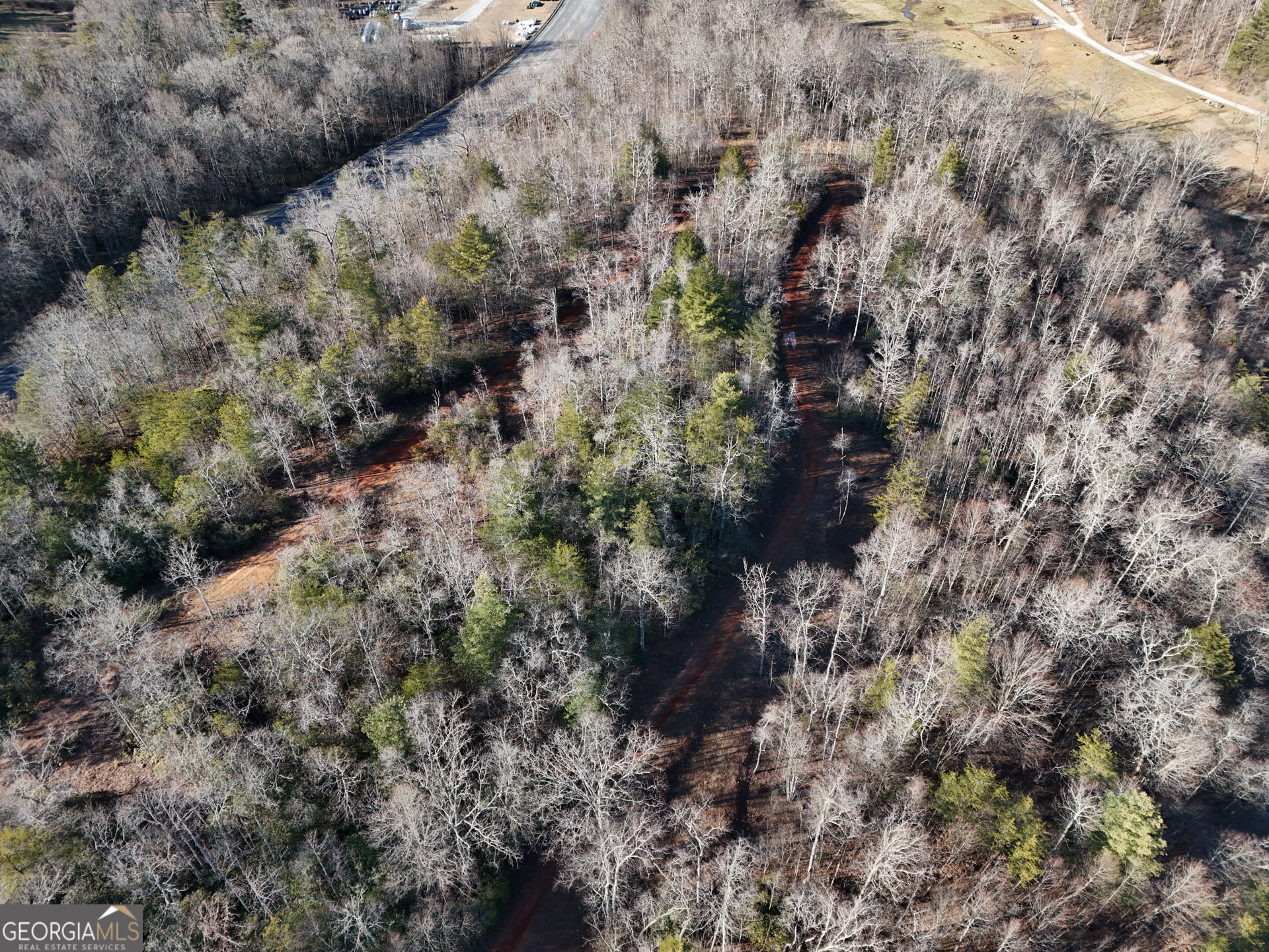 0 Georgia Road Otto, NC 28763 - Photo 5 of 13 a view of a forest with a forest