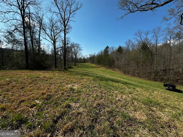 a view of outdoor space with trees all around