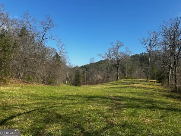 a big yard with lots of trees in the background