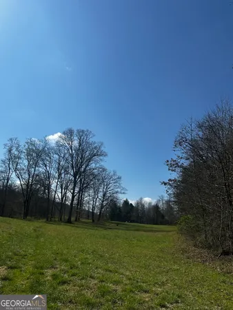 a view of a field with trees