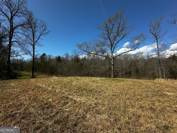 a yard with large trees
