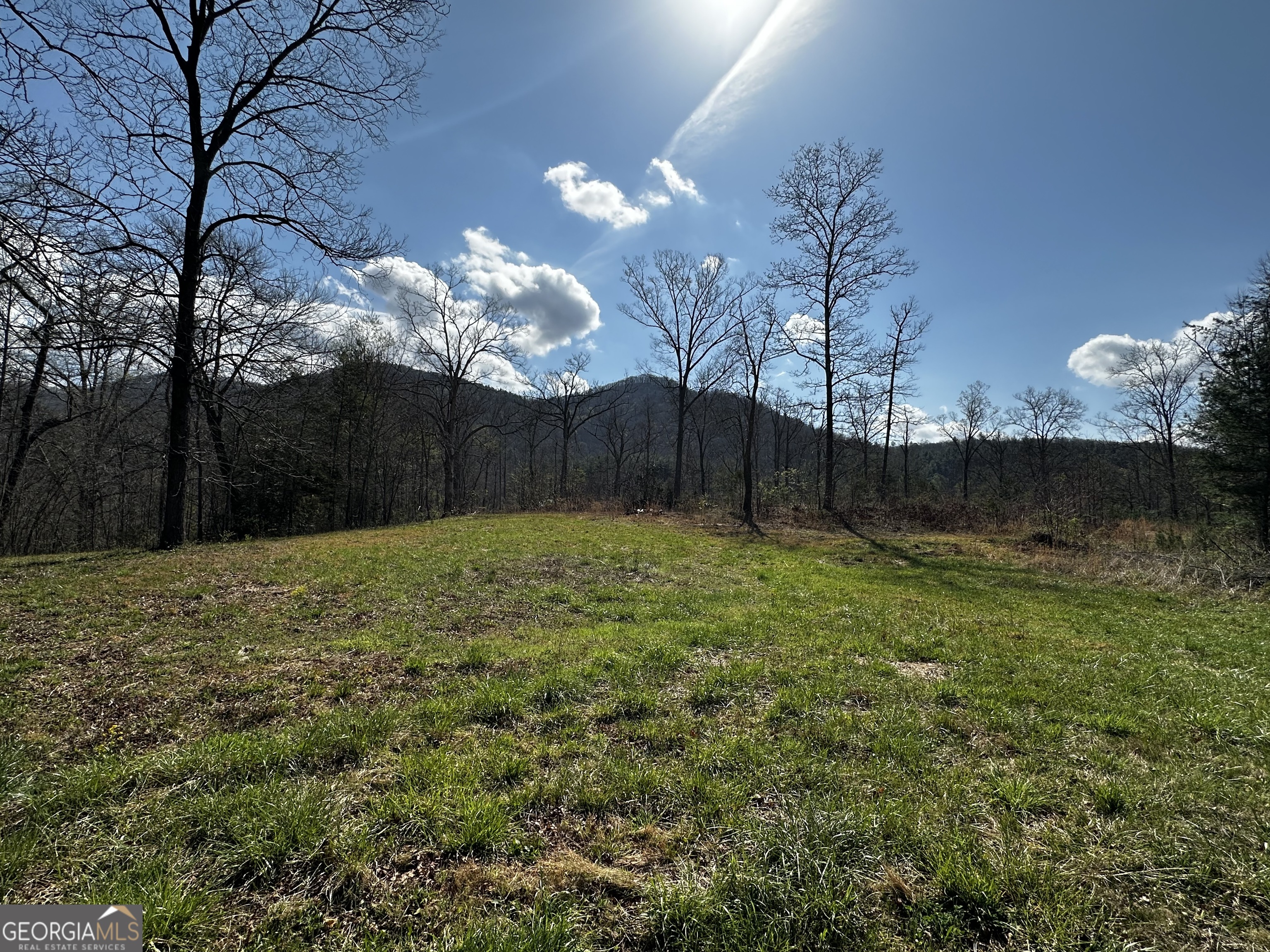 0 Georgia Road Otto, NC 28763 - Photo 9 of 29