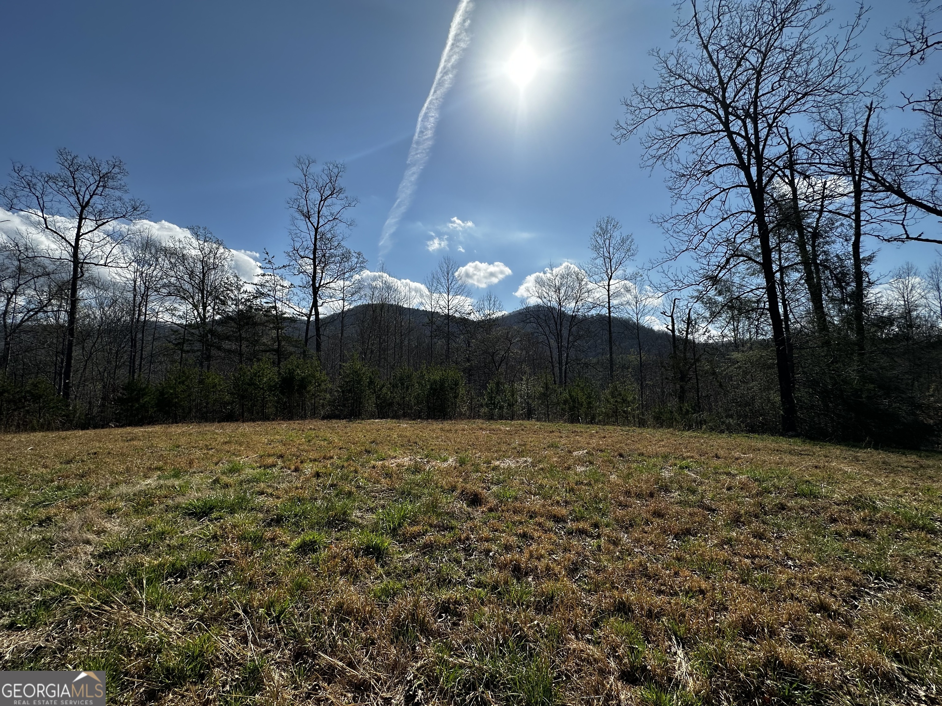 0 Georgia Road Otto, NC 28763 - Photo 10 of 29