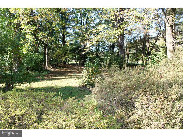 4414 Province Line Road Princeton, NJ 08540 - Photo 4 of 16 Back Yard