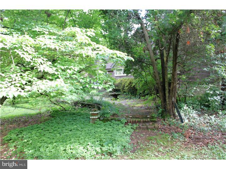 4414 Province Line Road Princeton, NJ 08540 - Photo 5 of 16 Back Yard