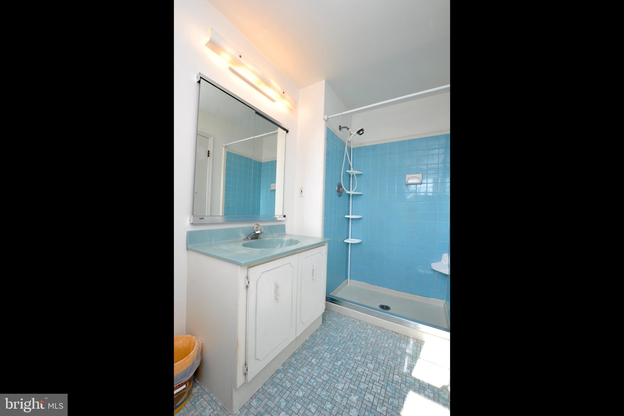 7 Utica Road Marlton, NJ 08053 - Photo 19 of 34 Main bath