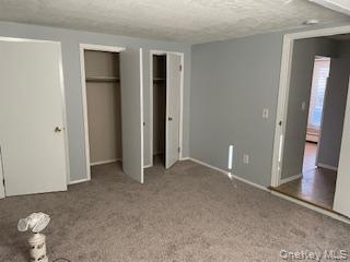 146-148 Ridge Street Pearl River, NY 10965 - Photo 12 of 19 LL Room with light grey walls and carpeted flooring, featuring two closets with bi-fold doors