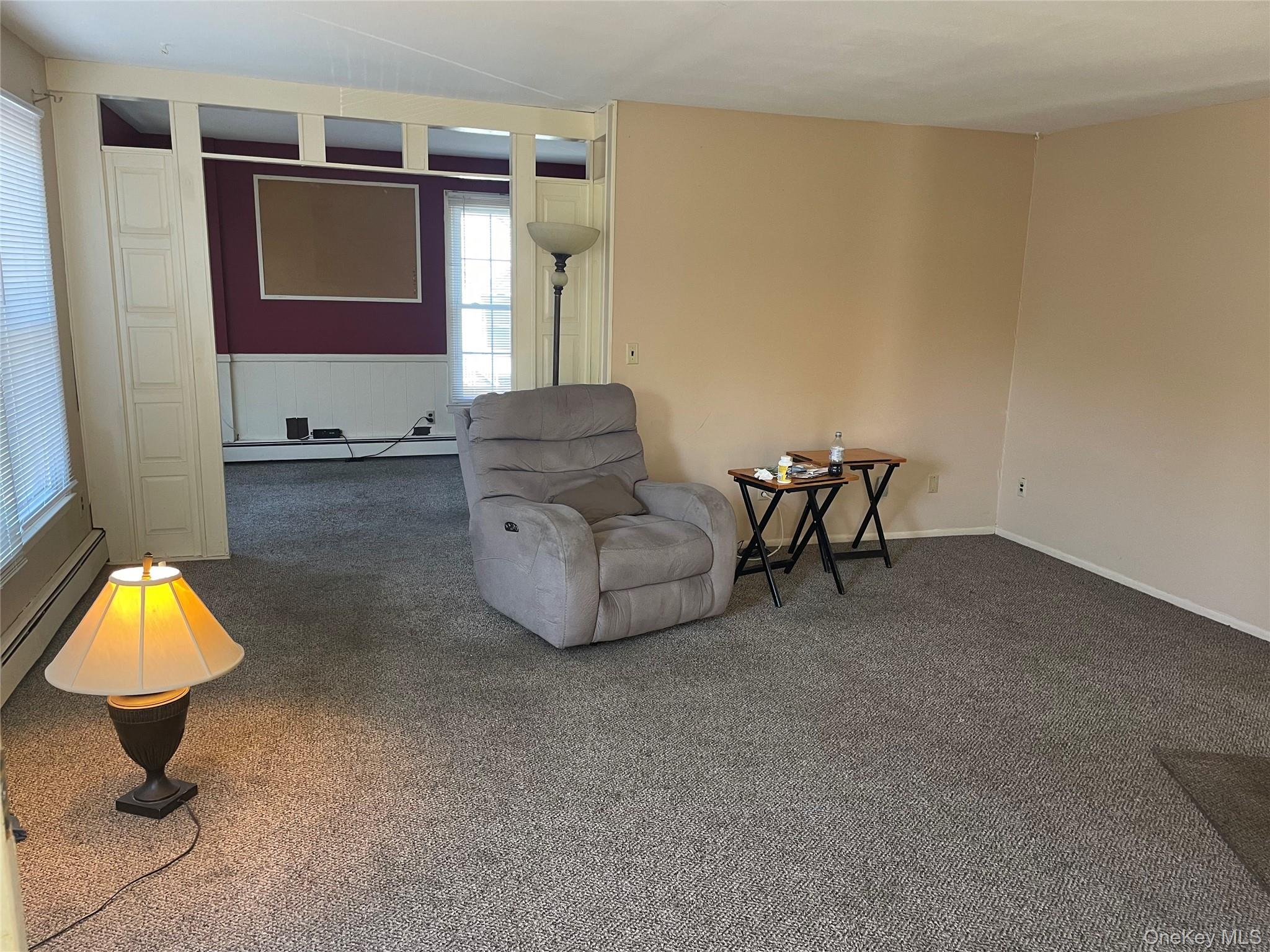 146-148 Ridge Street Pearl River, NY 10965 - Photo 4 of 19 UL Living Room, carpet over hardwood floor