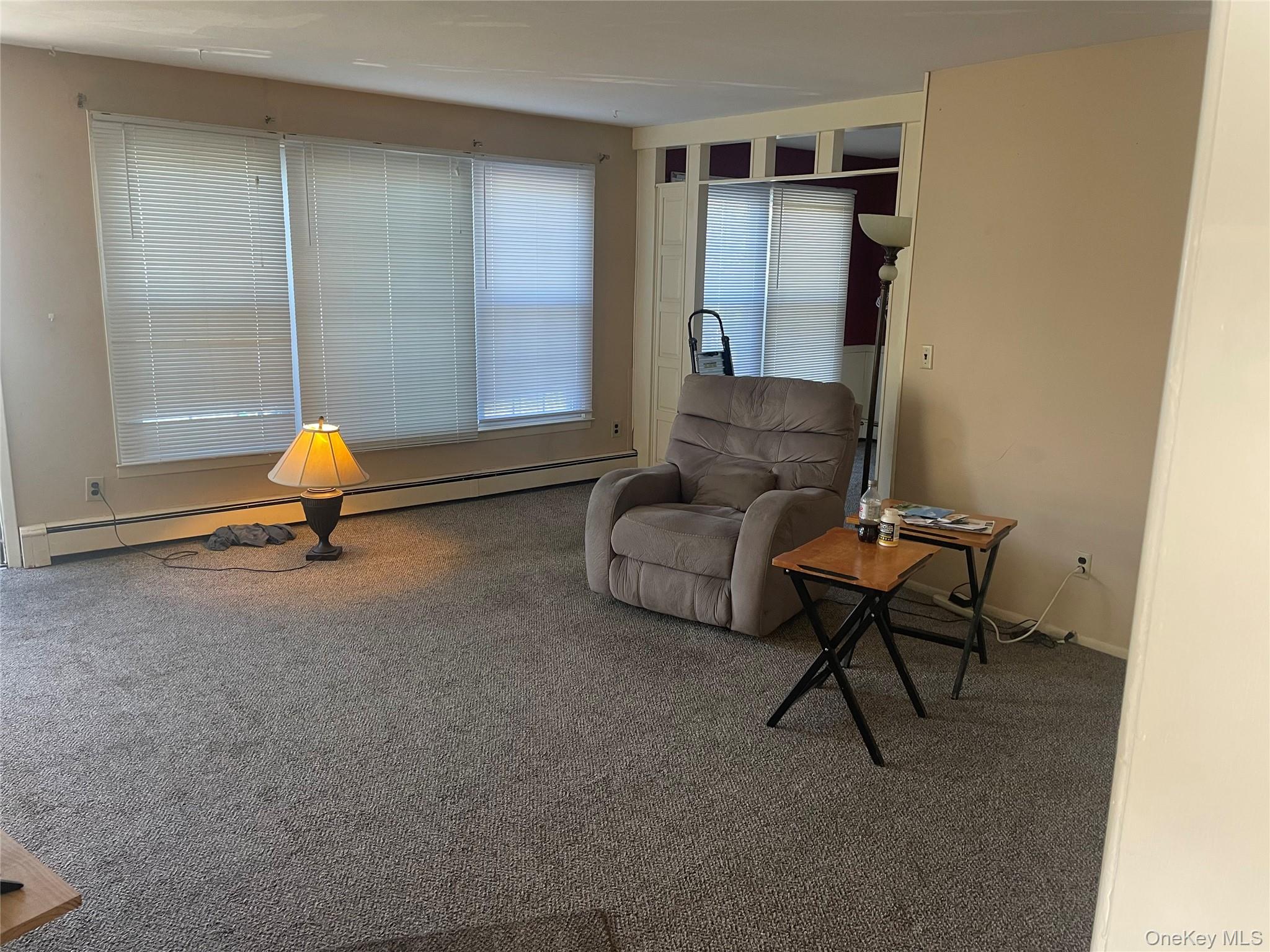 146-148 Ridge Street Pearl River, NY 10965 - Photo 5 of 19 UL Living Room, carpet over hardwood floor