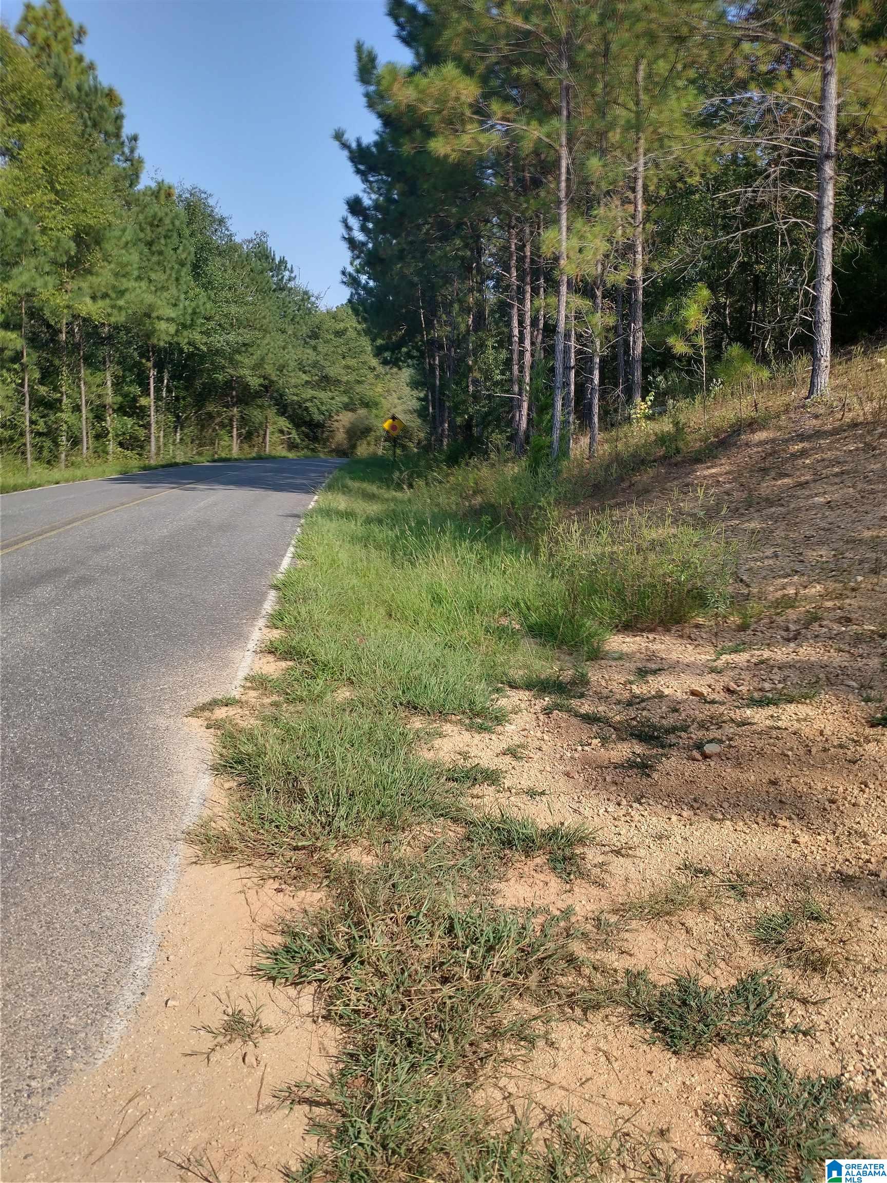 8100 Mckesie Street, Unit 81 ACRES Riverside, AL 35135 - Photo 17 of 18