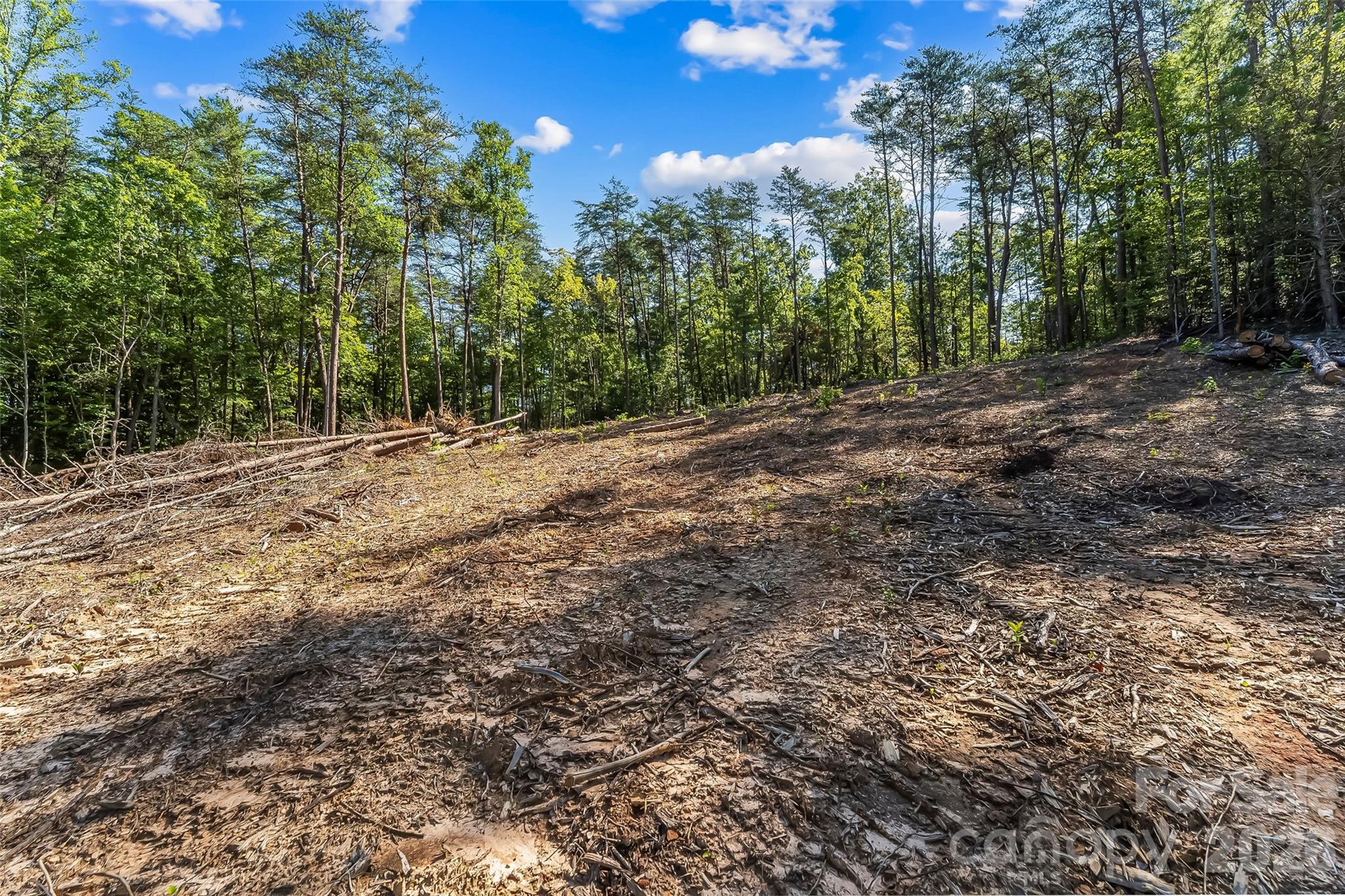 2815 Playmore Beach Road Morganton, NC 28655 - Photo 11 of 23 Gallery Image 11