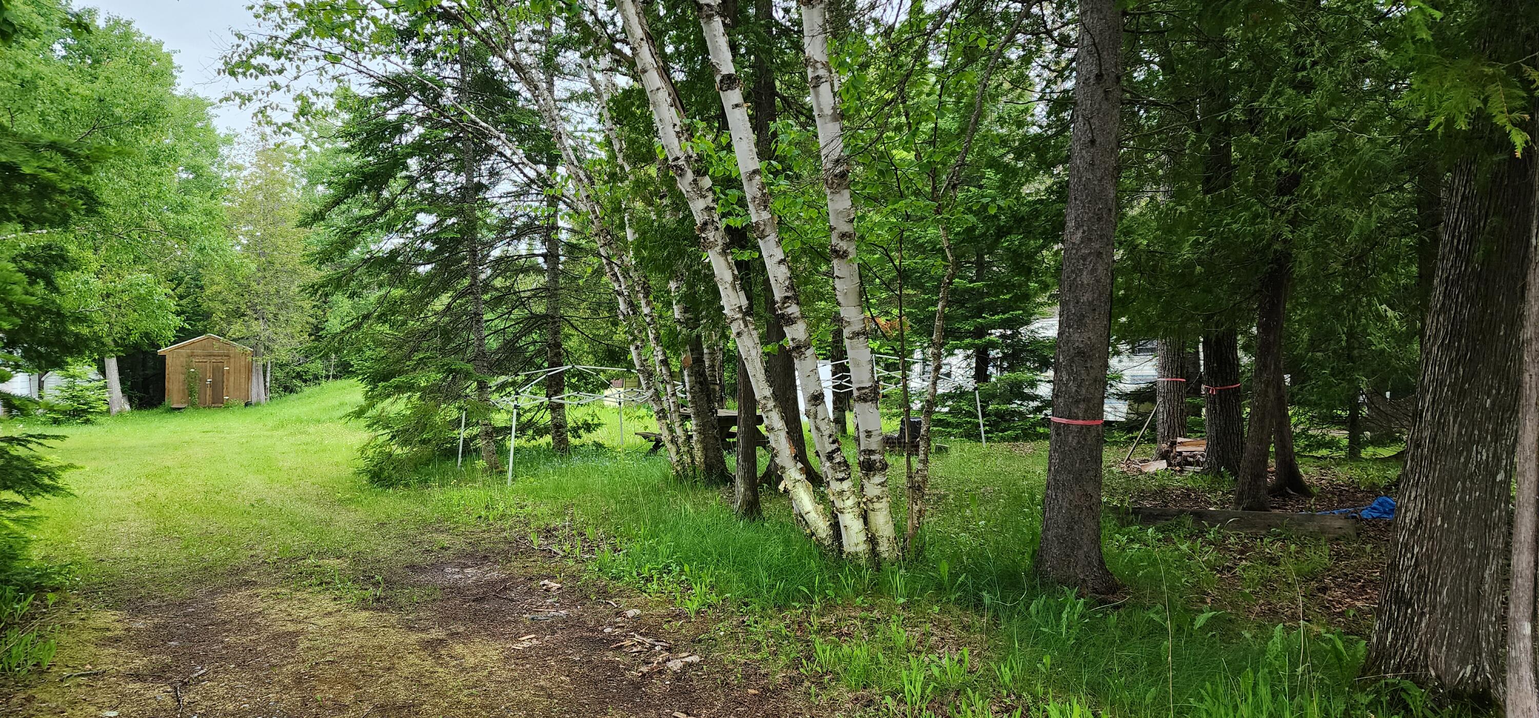 26928 Point Aux Frenes Road Goetzville, MI 49736 - Photo 1 of 15 Gallery Image 1
