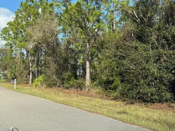 a view of a yard with plants and trees