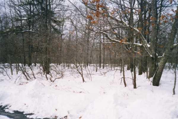 lot view