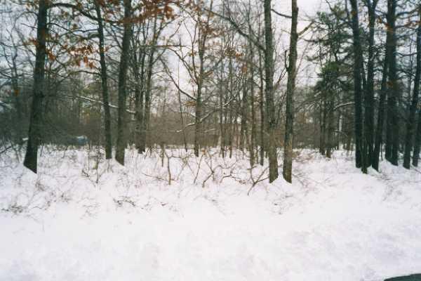 lot view