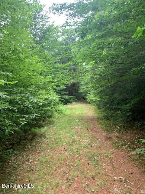 633 Quarry Road Becket, MA 01223 - Photo 3 of 10 a view of yard with green space