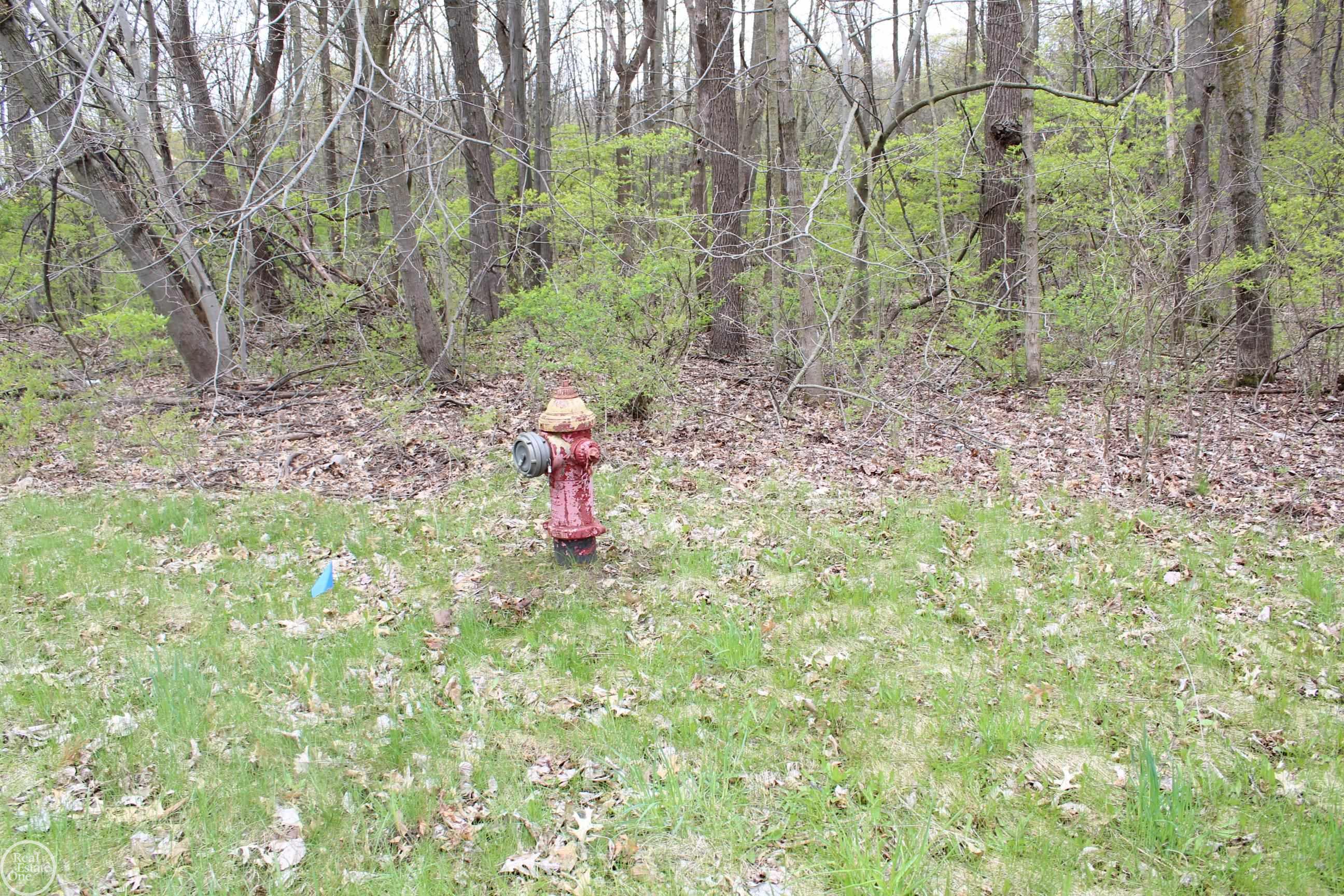 0 Morrill Road Jackson, MI 49201 - Photo 2 of 5 50109070-1.JPG