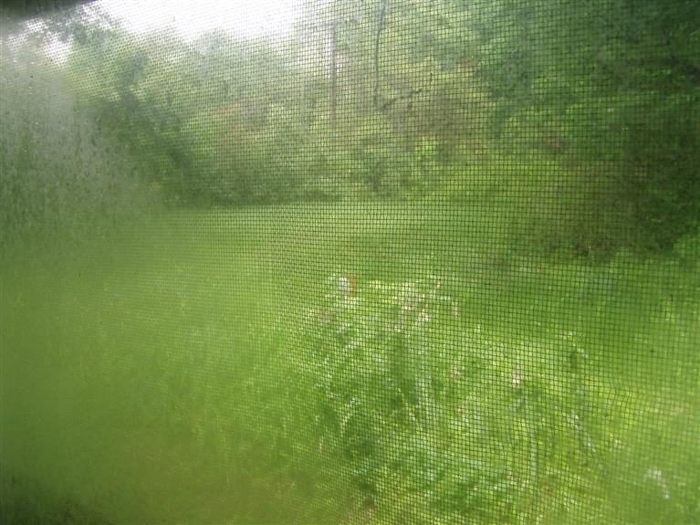8927 Talladay Road Willis, MI 48191 - Photo 13 of 13 Photo 13