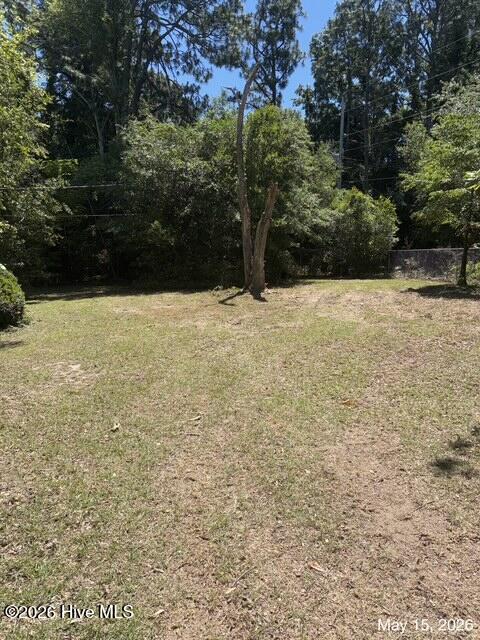 2009 Pine Log Road, Unit 1 Aiken, SC 29803 - Photo 3 of 29 Backyard