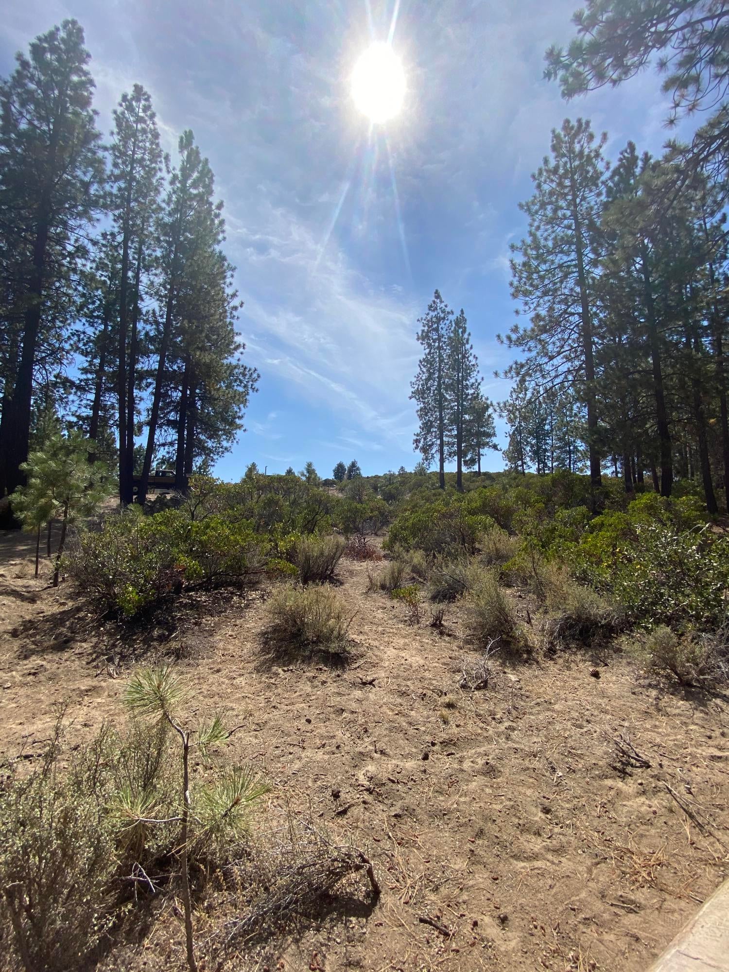 19197 Kiowa Road Bend, OR 97702 - Photo 10 of 32 Central Oregon Sky