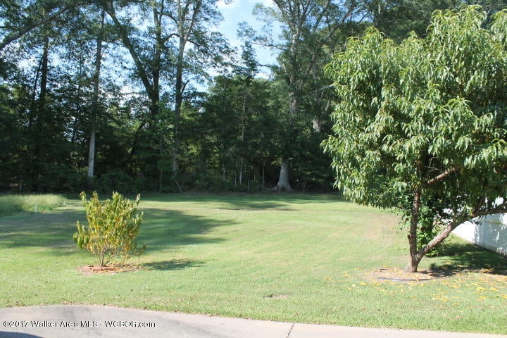 317 Summerville Road Jasper, AL 35504 - Photo 6 of 42 Gallery Image 6