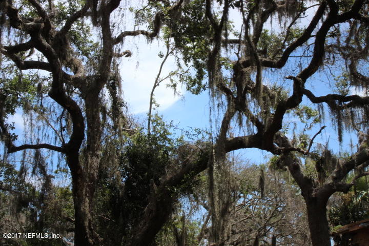 Live Oaks on property