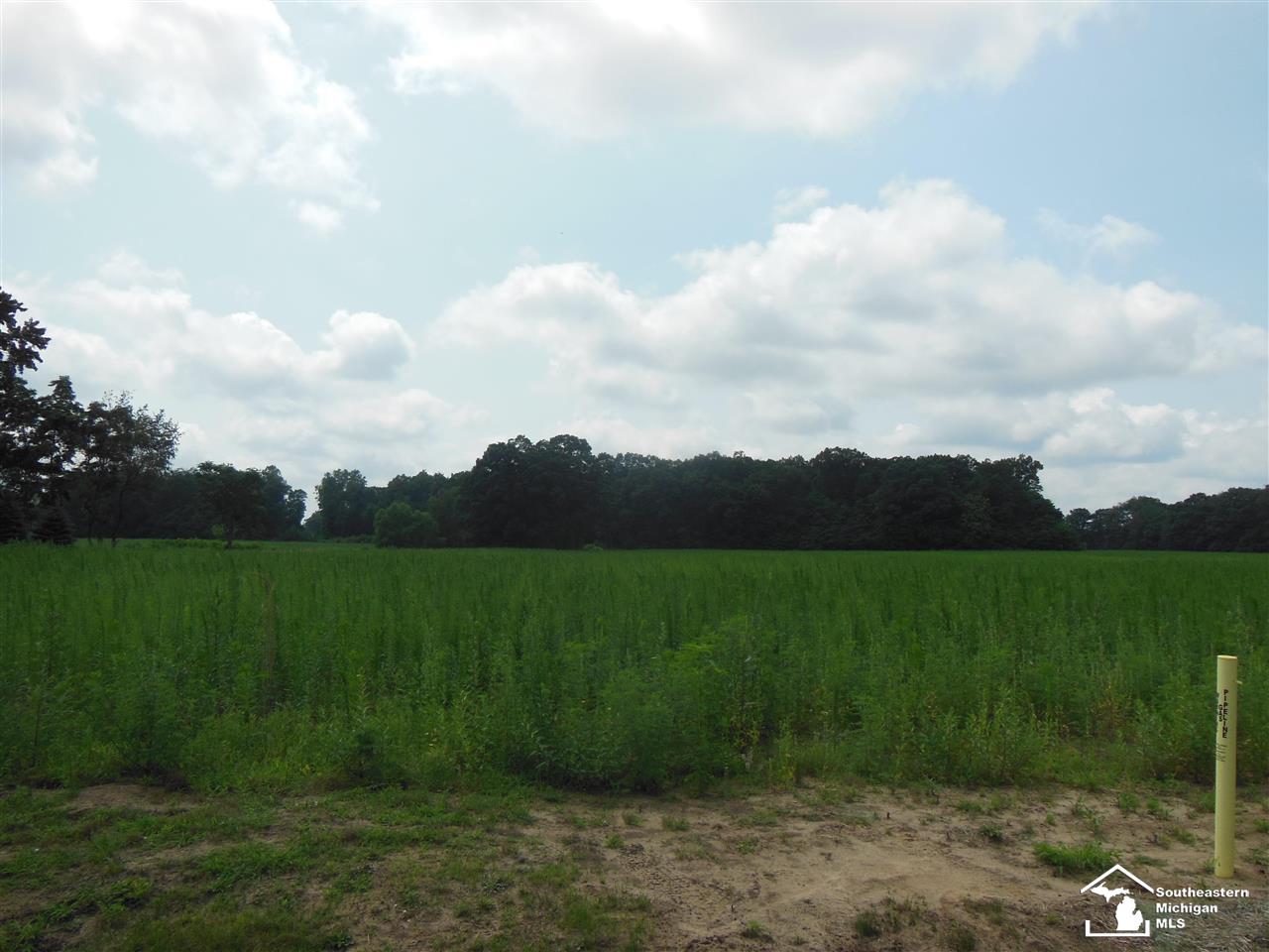 Parcel 3 Wells Road Petersburg, MI 49270 - Photo 3 of 6