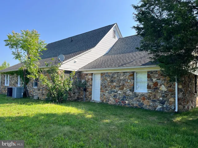 a view of a house with a yard potted plants and large tree