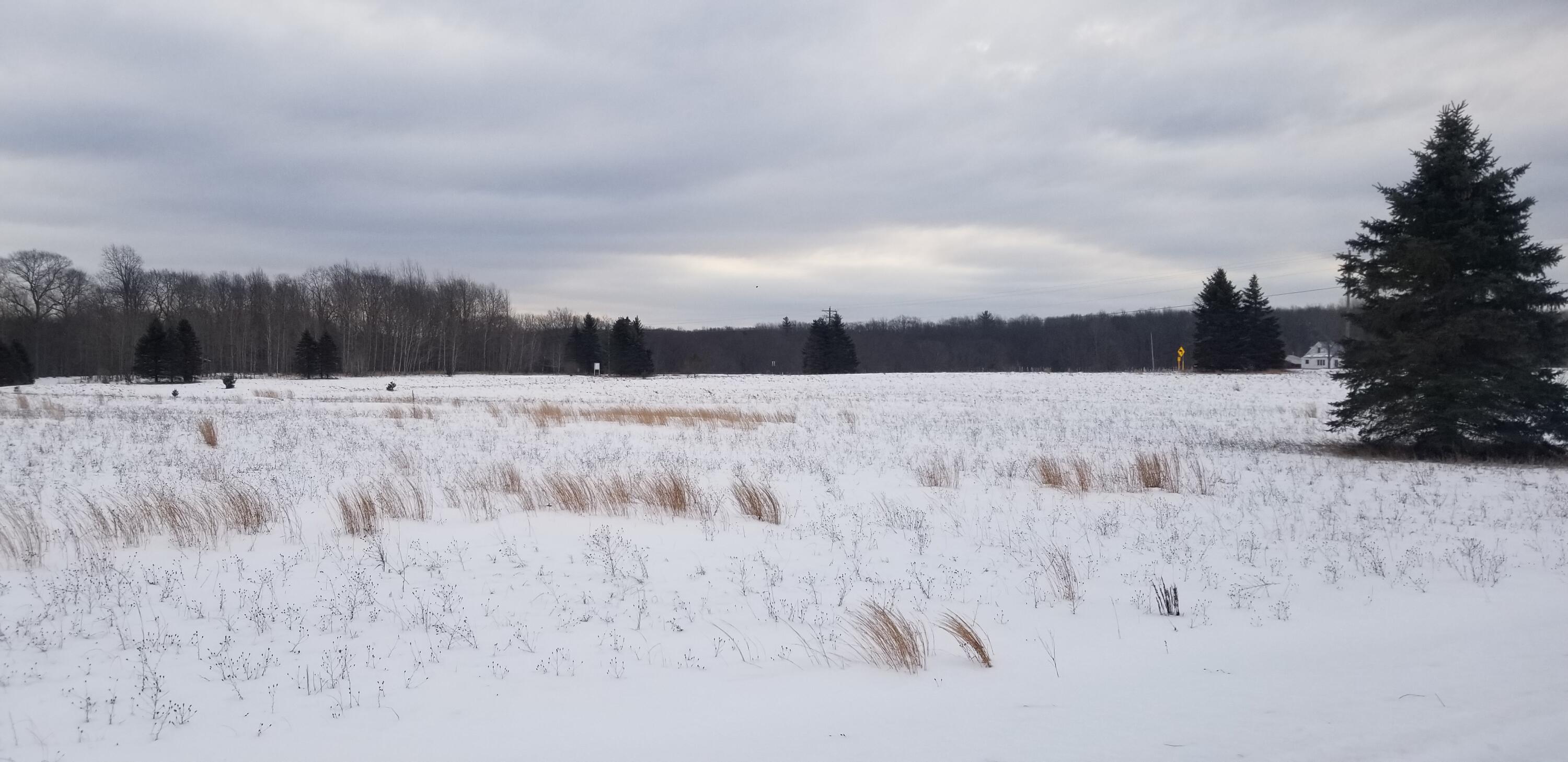 0 North Hunter's Ridge, Unit 19 & 20 Irons, MI 49644 - Photo 8 of 9 20220216_095811