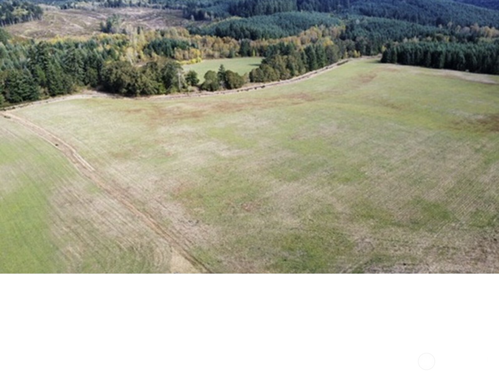 18430 Northcraft Road Southeast Tenino, WA 98589 - Photo 2 of 6 a black and white photo of a field
