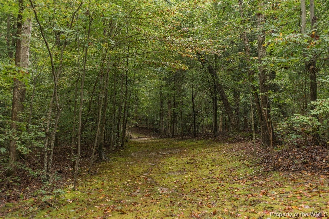 2738 Lees Neck Farm Road Saluda, VA 23149 - Photo 8 of 32 Gallery Image 8
