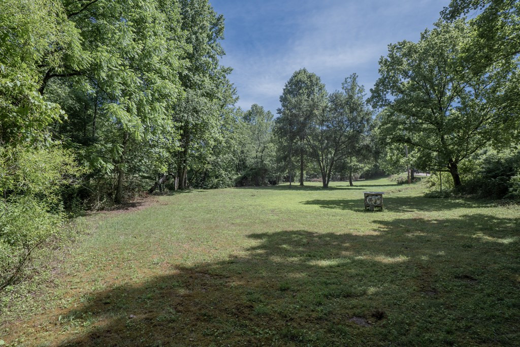 Tbd Ed Graves Road Murphy, NC 28906 - Photo 4 of 23