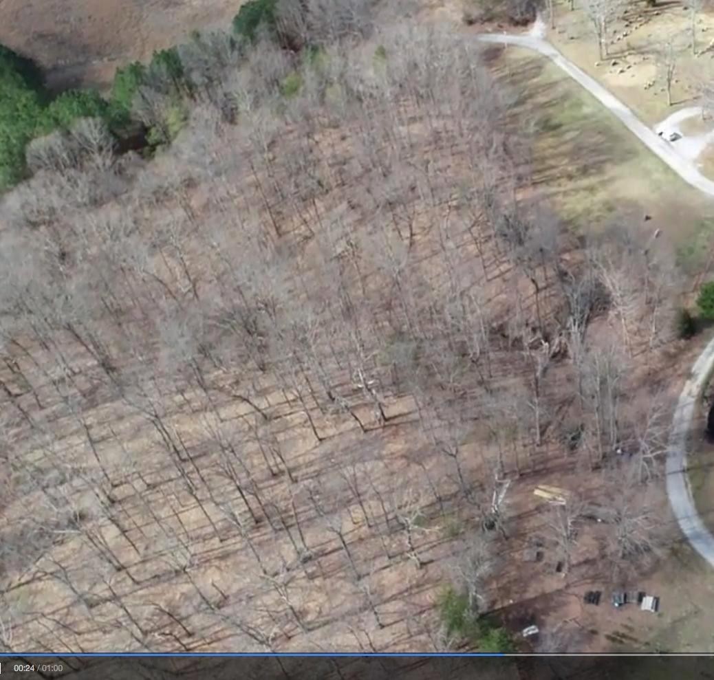 23 Big Spring Gap Road Pikeville, TN 37367 - Photo 10 of 11 Gallery Image 10