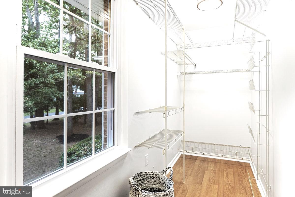 176 Cardamon Drive Edgewater, MD 21037 - Photo 24 of 42 Large Walk In Closet