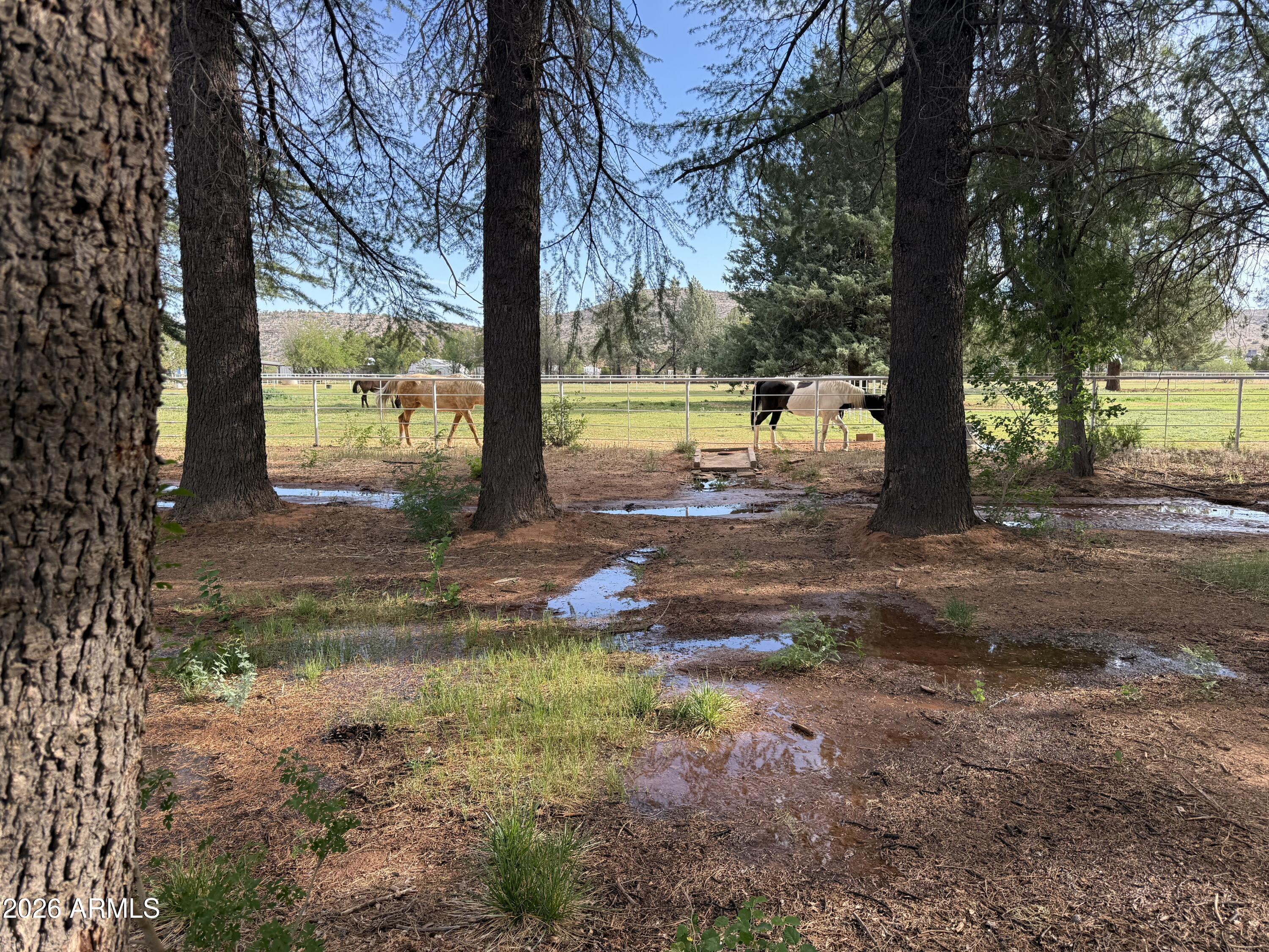 4000 Mahoney Road, Unit 1 Camp Verde, AZ 86322 - Photo 12 of 41 a view of a yard with plants and trees
