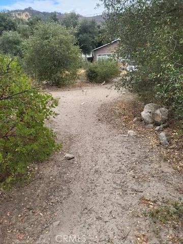 a view of a dirt road with trees