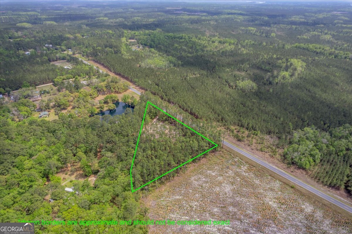 29 Clyde Road White Oak, GA 31568 - Photo 13 of 46 a view of a yard with an trees