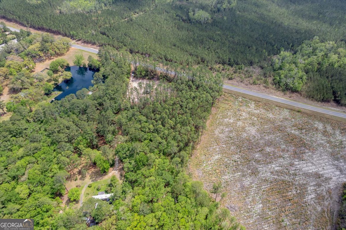 29 Clyde Road White Oak, GA 31568 - Photo 14 of 46 a view of a yard with plants and a bench