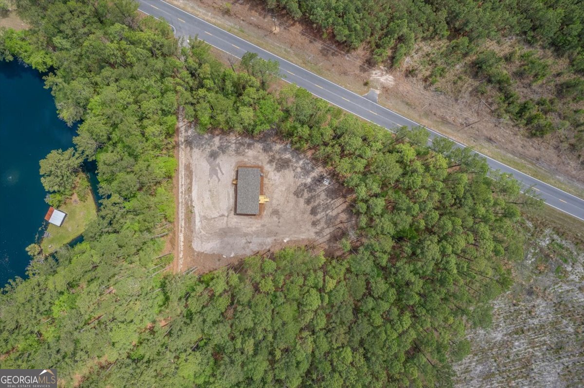 29 Clyde Road White Oak, GA 31568 - Photo 19 of 46 a view of a yard with plants and large trees